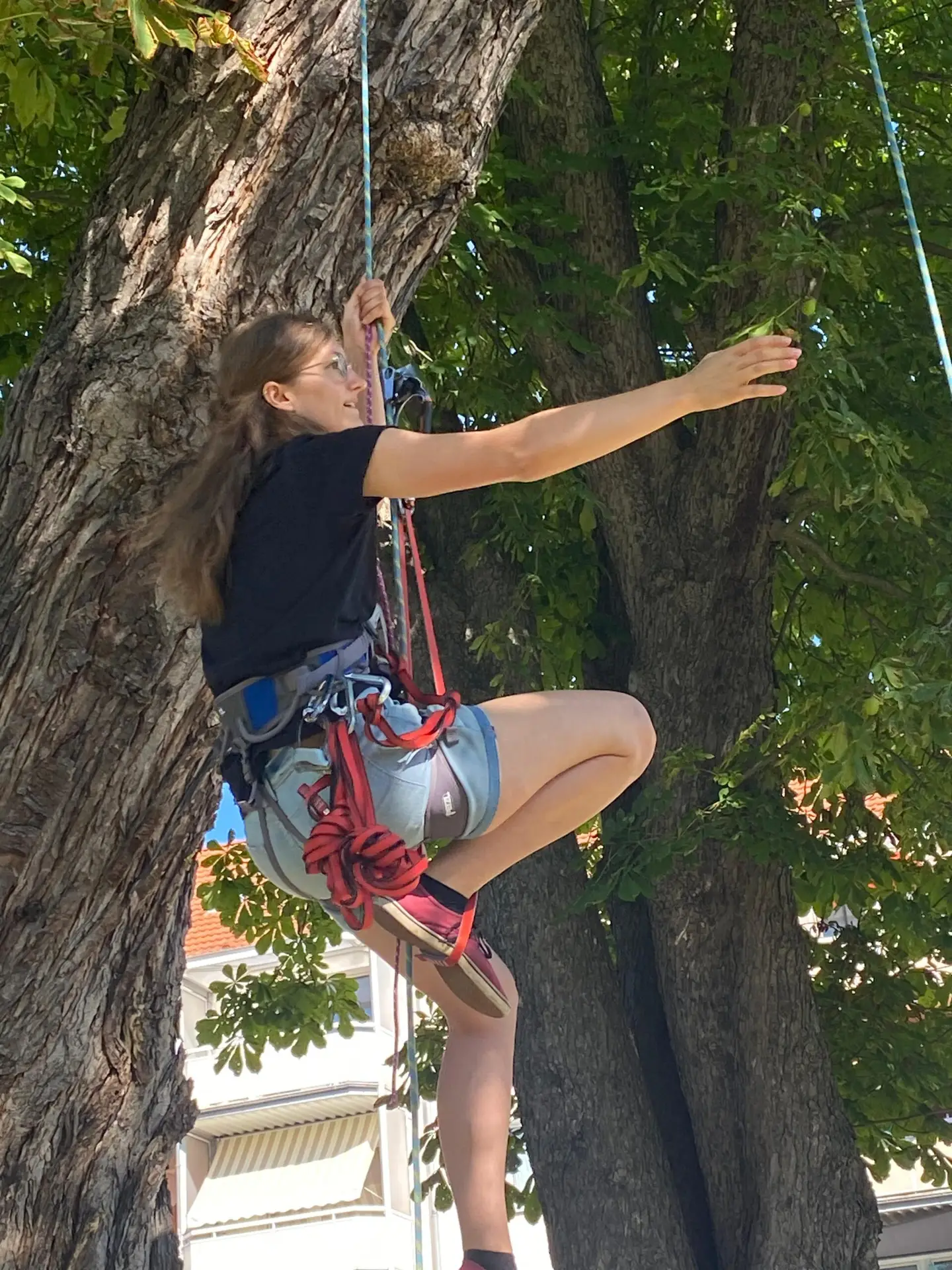 whatsapp bild 2024 01 04 um 10.55.51 13e0daa5